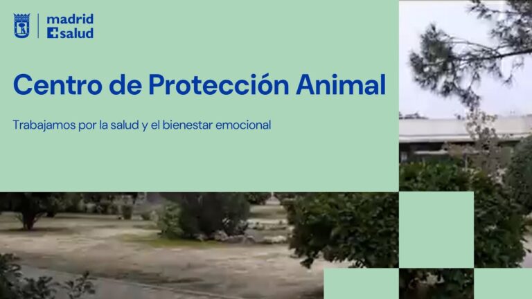 Asociaciones de Protecci&oacute;n Animal en Legan&eacute;s: Gu&iacute;a Completa