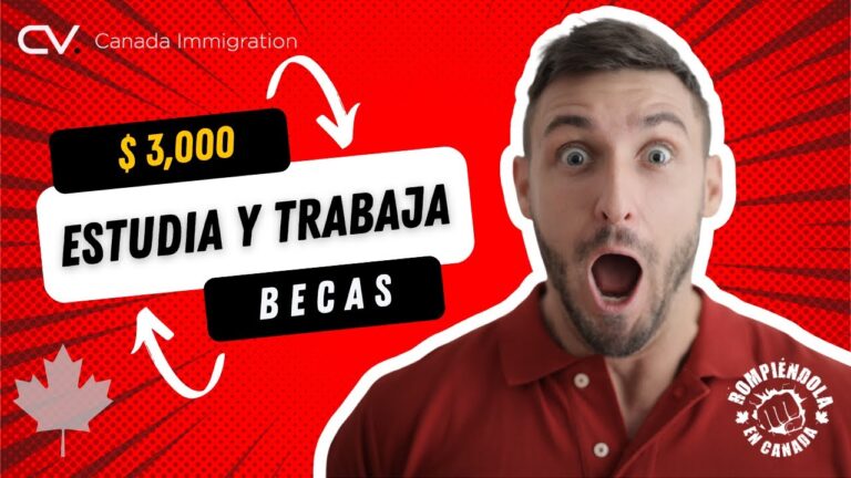 Requisitos para Trabajar en Villanueva de la Cañada