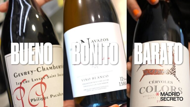 Mejores lugares para catas de vino en Leganés