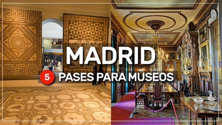 Museos Imperdibles en Las Rozas de Madrid
