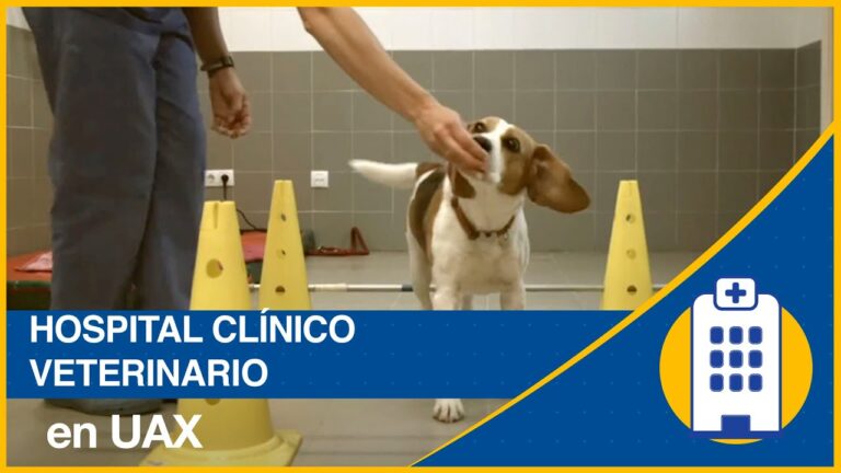 Los hospitales en Villanueva de la Ca&ntilde;ada: Gu&iacute;a completa