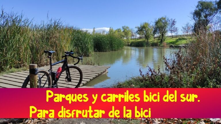 Transporte en Bicicleta en Alcorc&oacute;n: An&aacute;lisis y Perspectivas