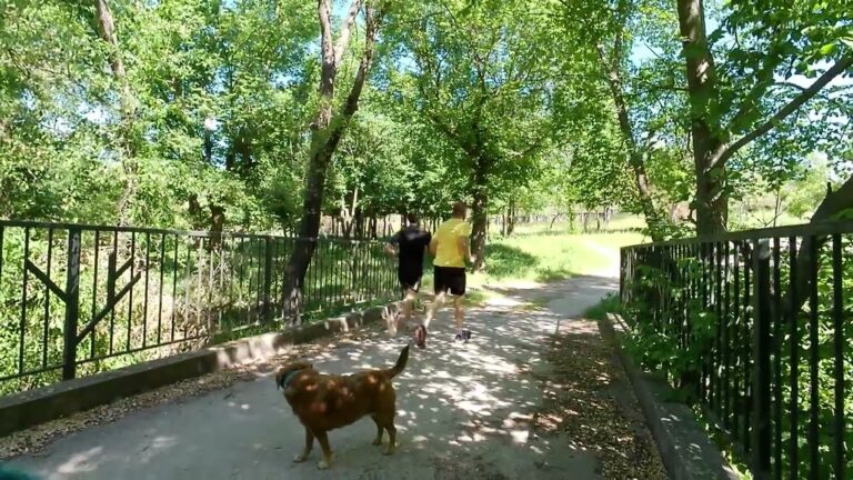 Zonas Verdes Sombr&iacute;as en M&oacute;stoles