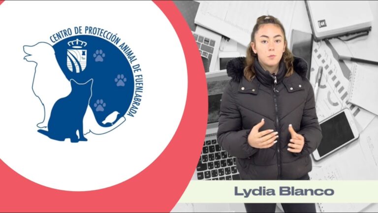 Asociaciones de Protecci&oacute;n Animal en Fuenlabrada: Guia Completa