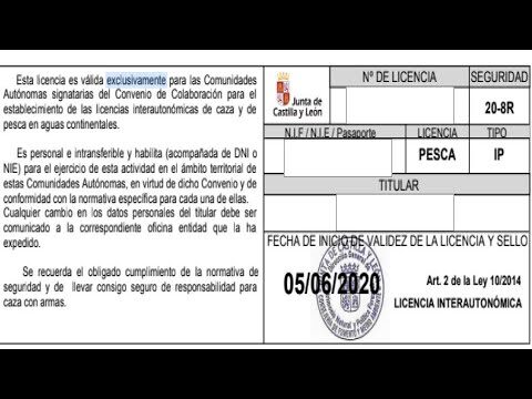 Normativas Esenciales para la Tenencia de Perros en M&oacute;stoles