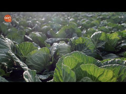 Gu&iacute;a para encontrar mercados ecol&oacute;gicos en Fuenlabrada