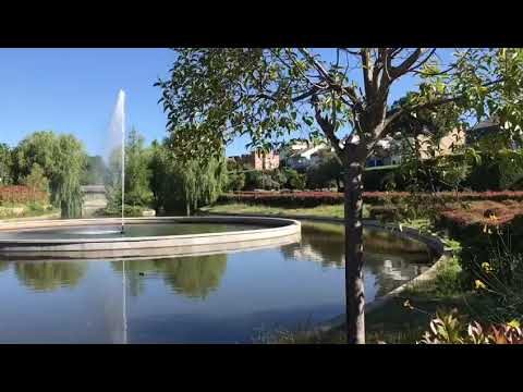 Los mejores parques de Pozuelo de Alarc&oacute;n