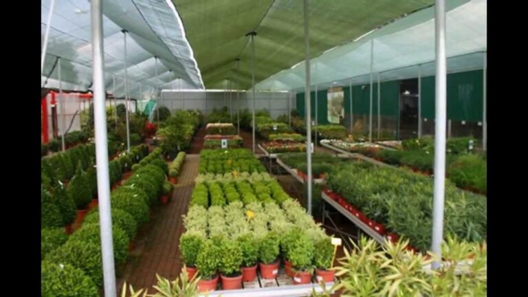 Guía para encontrar tiendas de jardinería en Pozuelo de Alarcón